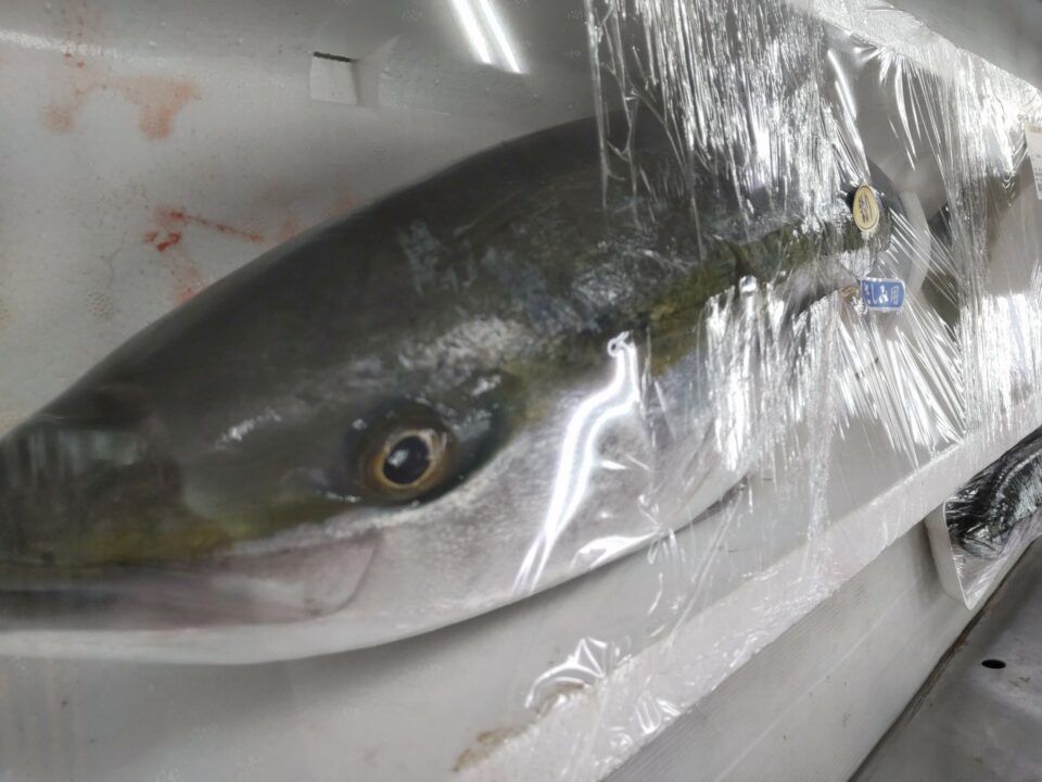 【福岡県糸島市】福ふくの里：二丈福吉の直売所・産直所