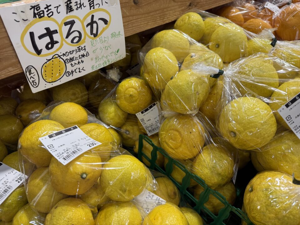 【福岡県糸島市】福ふくの里：二丈福吉の直売所・産直所