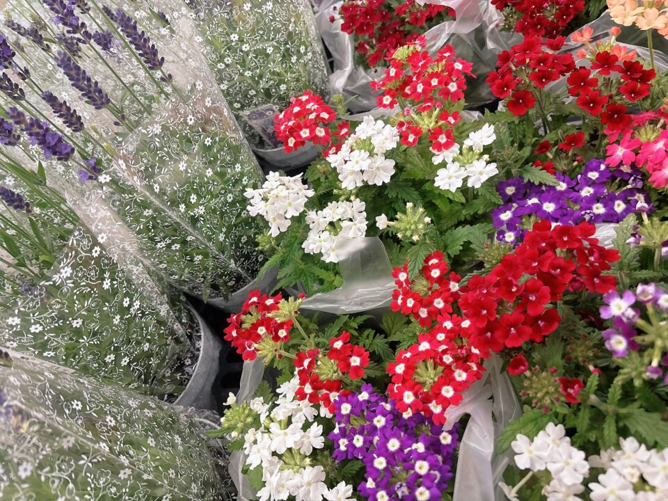 【福岡県糸島市】福ふくの里：二丈福吉の直売所・産直所