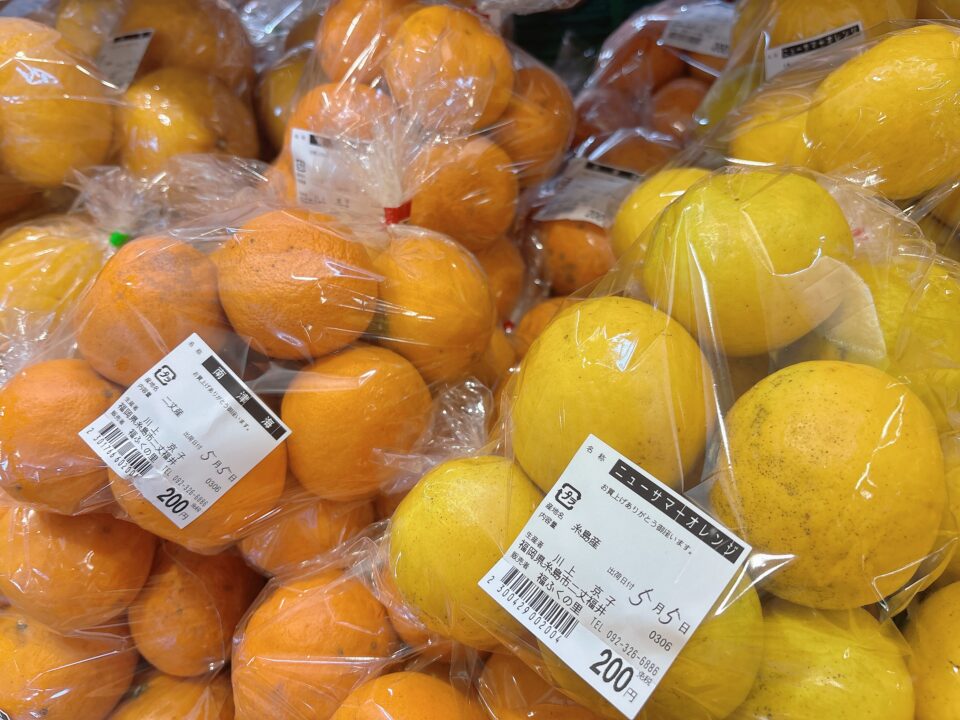 【福岡県糸島市】福ふくの里：二丈福吉の直売所・産直所