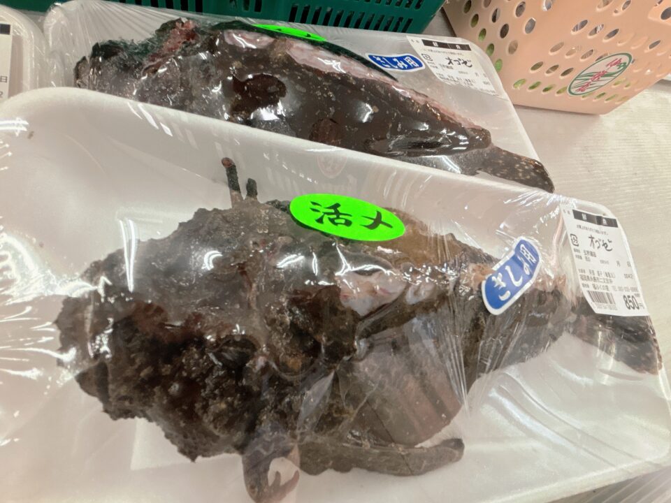 【福岡県糸島市】福ふくの里：二丈福吉の直売所・産直所