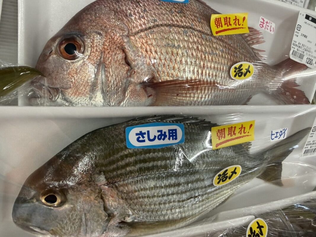 【福岡県糸島市】福ふくの里：二丈福吉の直売所・産直所