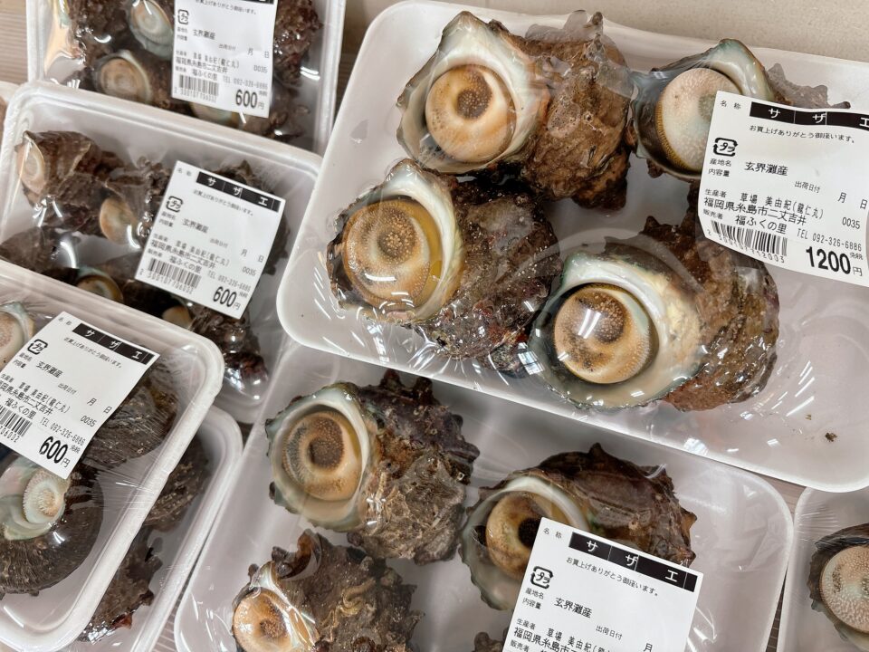 【福岡県糸島市】福ふくの里：二丈福吉の直売所・産直所