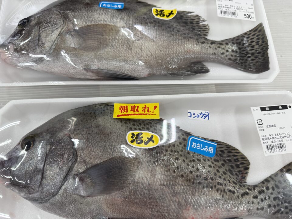 【福岡県糸島市】福ふくの里：二丈福吉の直売所・産直所