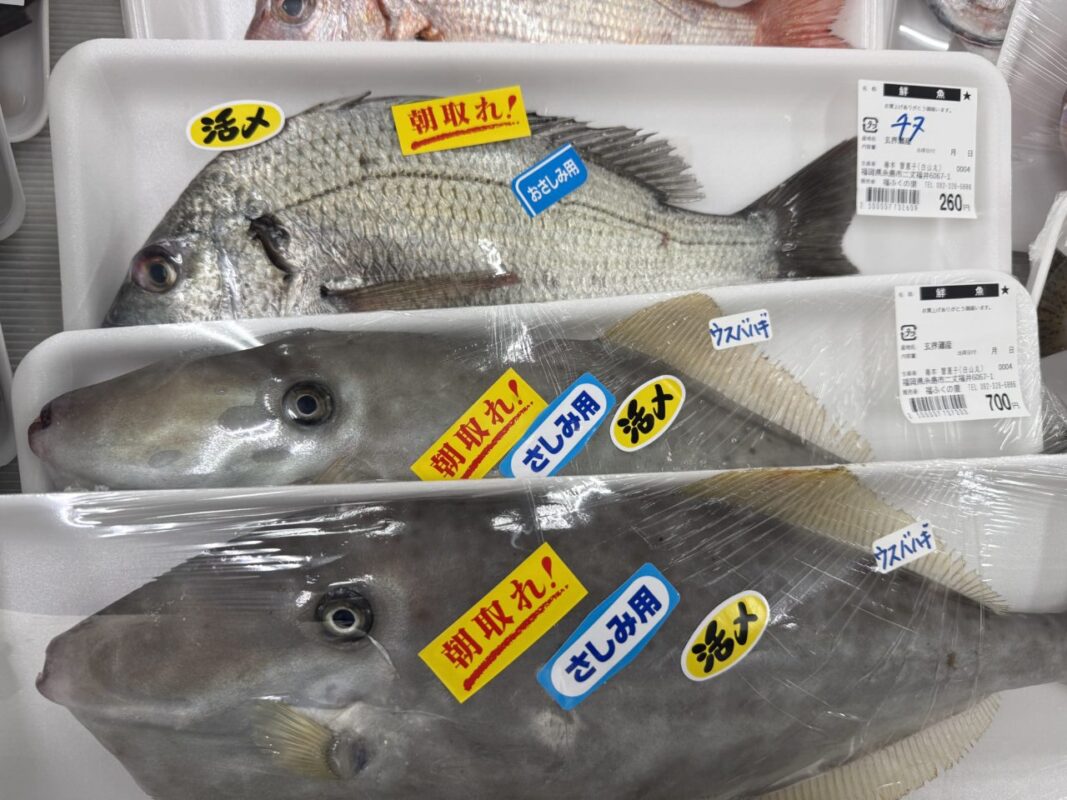 【福岡県糸島市】福ふくの里：二丈福吉の直売所・産直所