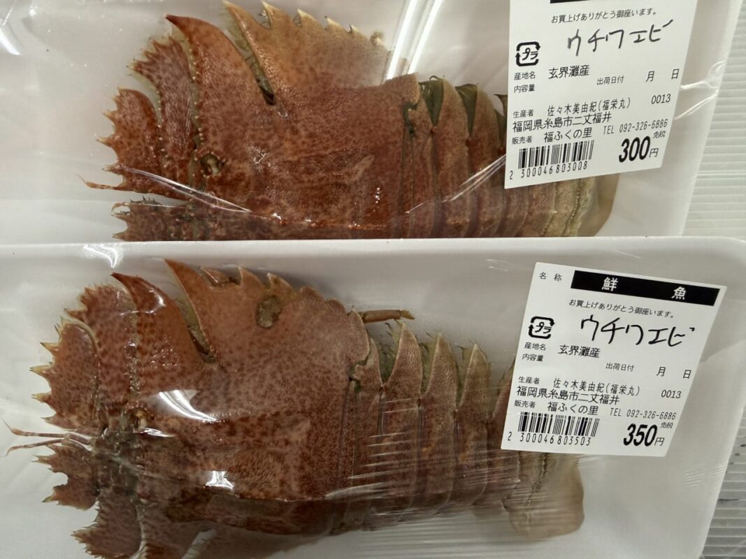 【福岡県糸島市】福ふくの里：二丈福吉の直売所・産直所