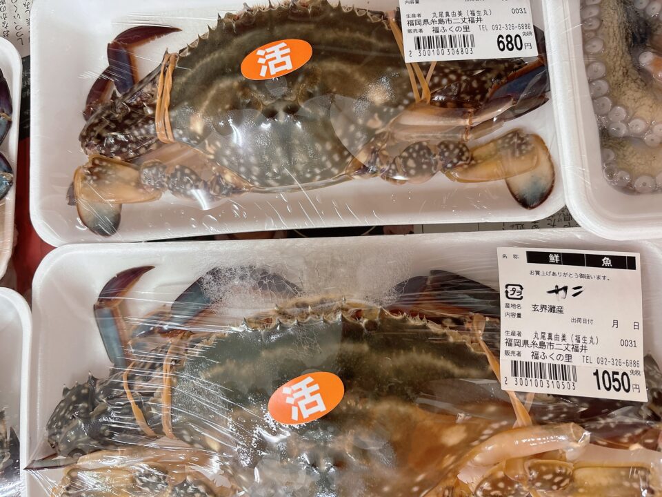 【福岡県糸島市】福ふくの里：二丈福吉の直売所・産直所