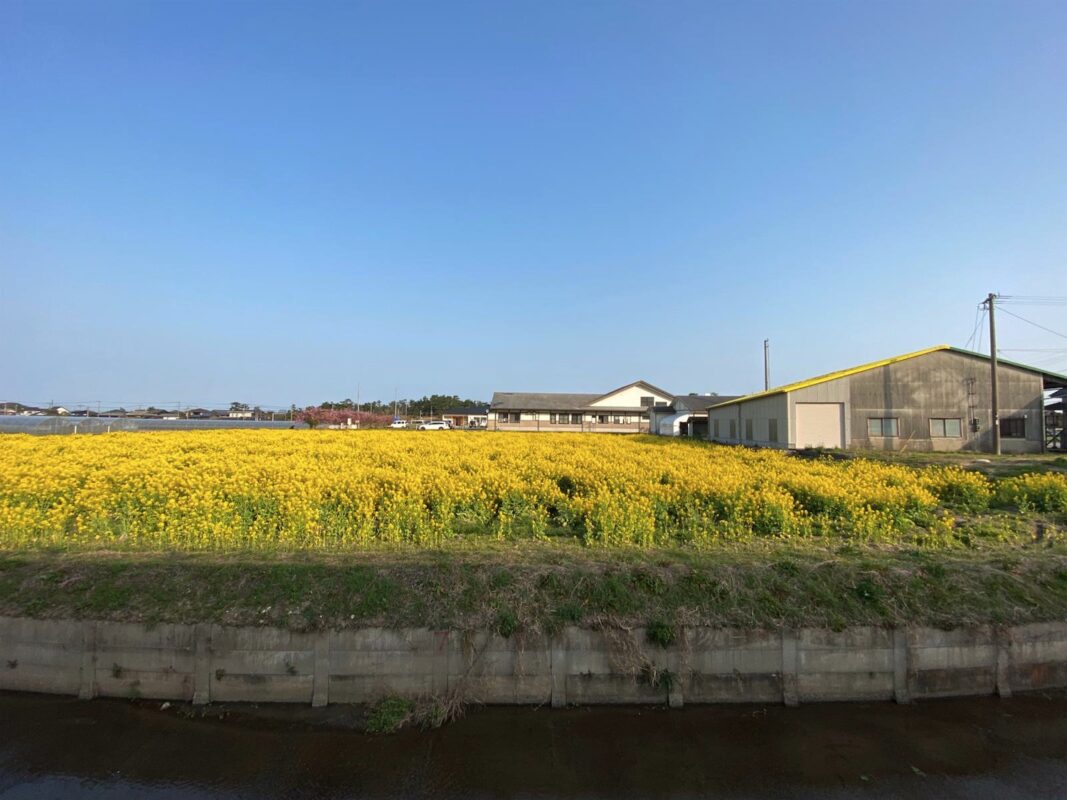 【福岡県糸島市】福ふくの里：二丈福吉の直売所・産直所