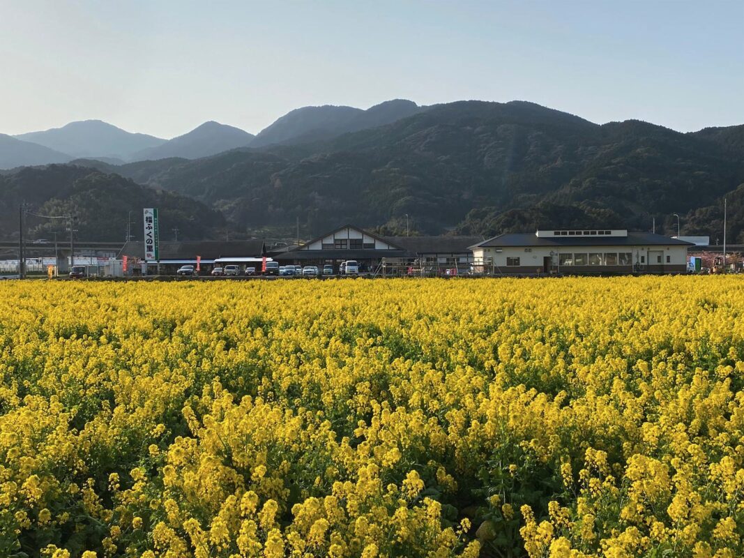 【福岡県糸島市】福ふくの里：二丈福吉の直売所・産直所