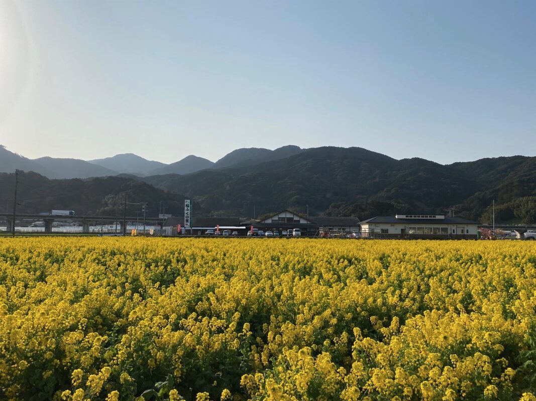 【福岡県糸島市】福ふくの里：二丈福吉の直売所・産直所
