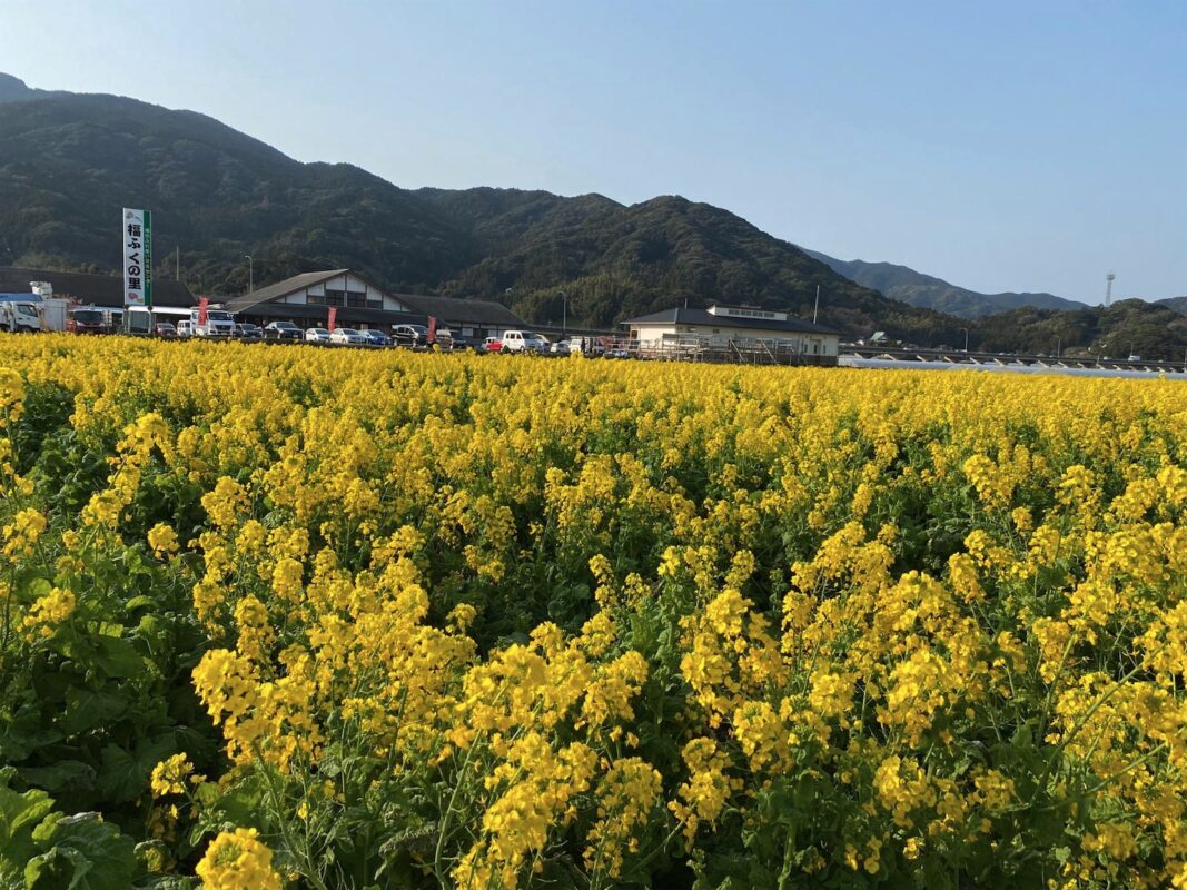 【福岡県糸島市】福ふくの里：二丈福吉の直売所・産直所