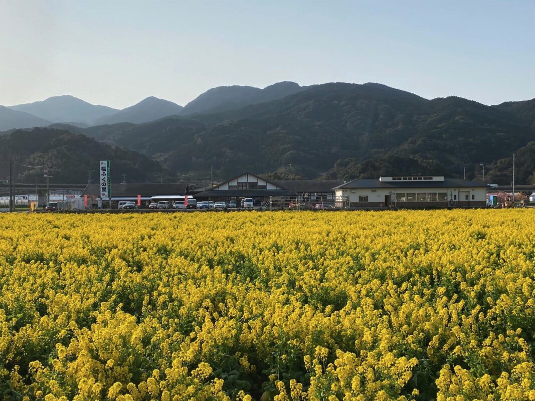 【福岡県糸島市】福ふくの里：二丈福吉の直売所・産直所