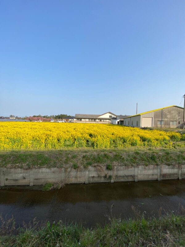 【福岡県糸島市】福ふくの里：二丈福吉の直売所・産直所