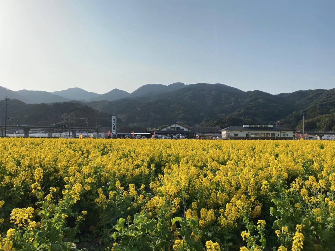 【福岡県糸島市】福ふくの里：二丈福吉の直売所・産直所