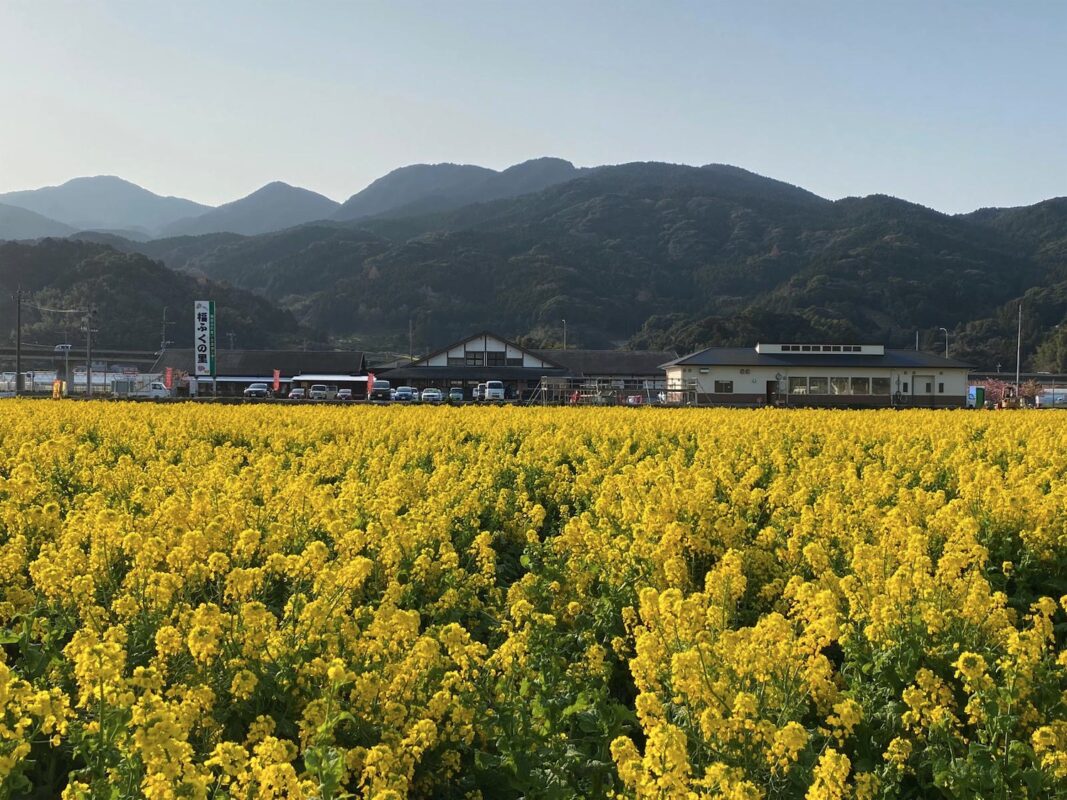 【福岡県糸島市】福ふくの里：二丈福吉の直売所・産直所