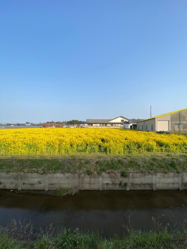 【福岡県糸島市】福ふくの里：二丈福吉の直売所・産直所
