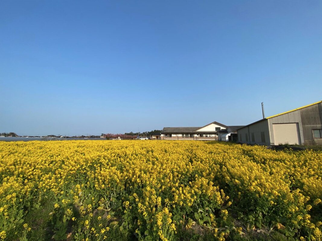 【福岡県糸島市】福ふくの里：二丈福吉の直売所・産直所