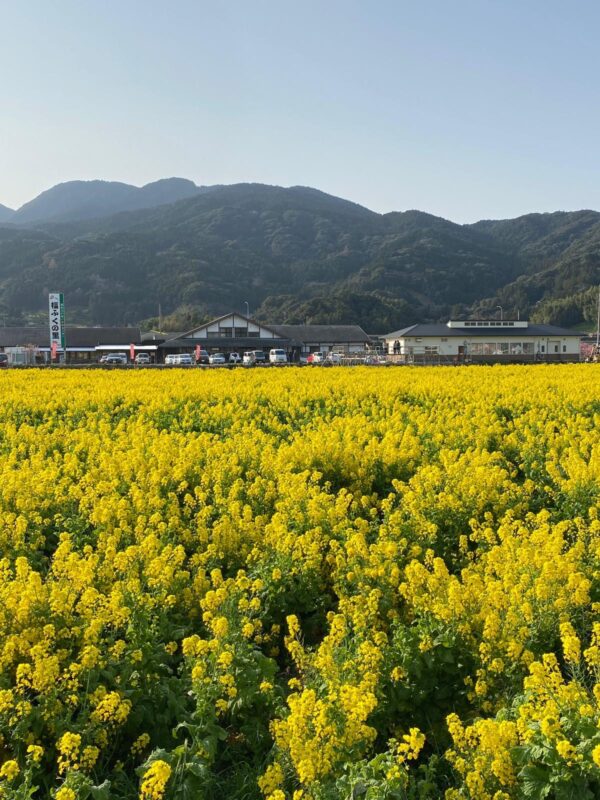 【福岡県糸島市】福ふくの里：二丈福吉の直売所・産直所