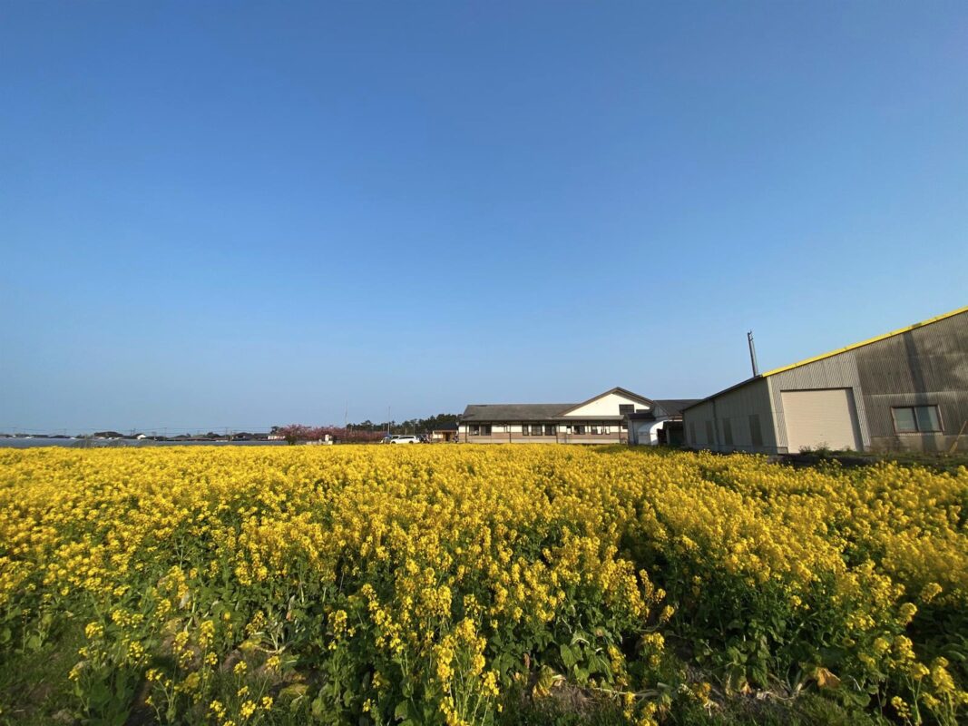 【福岡県糸島市】福ふくの里：二丈福吉の直売所・産直所