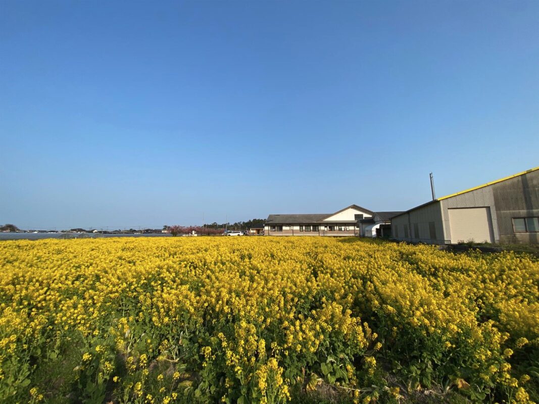 【福岡県糸島市】福ふくの里：二丈福吉の直売所・産直所