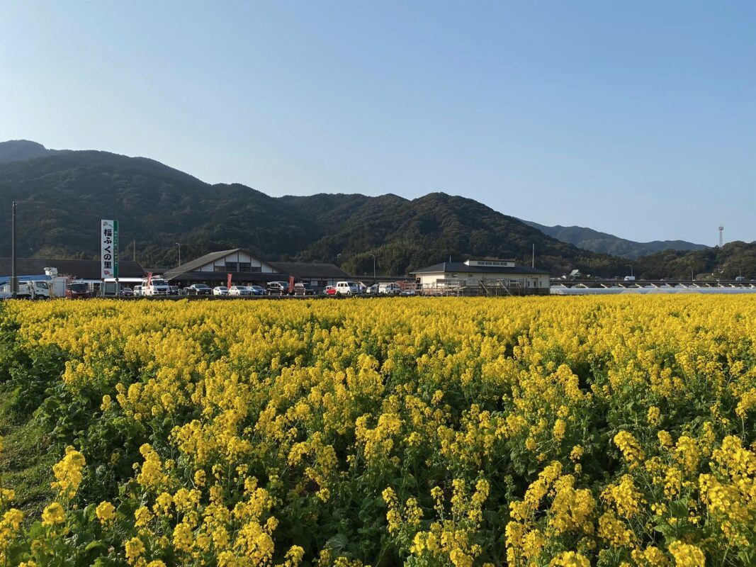 【福岡県糸島市】福ふくの里：二丈福吉の直売所・産直所