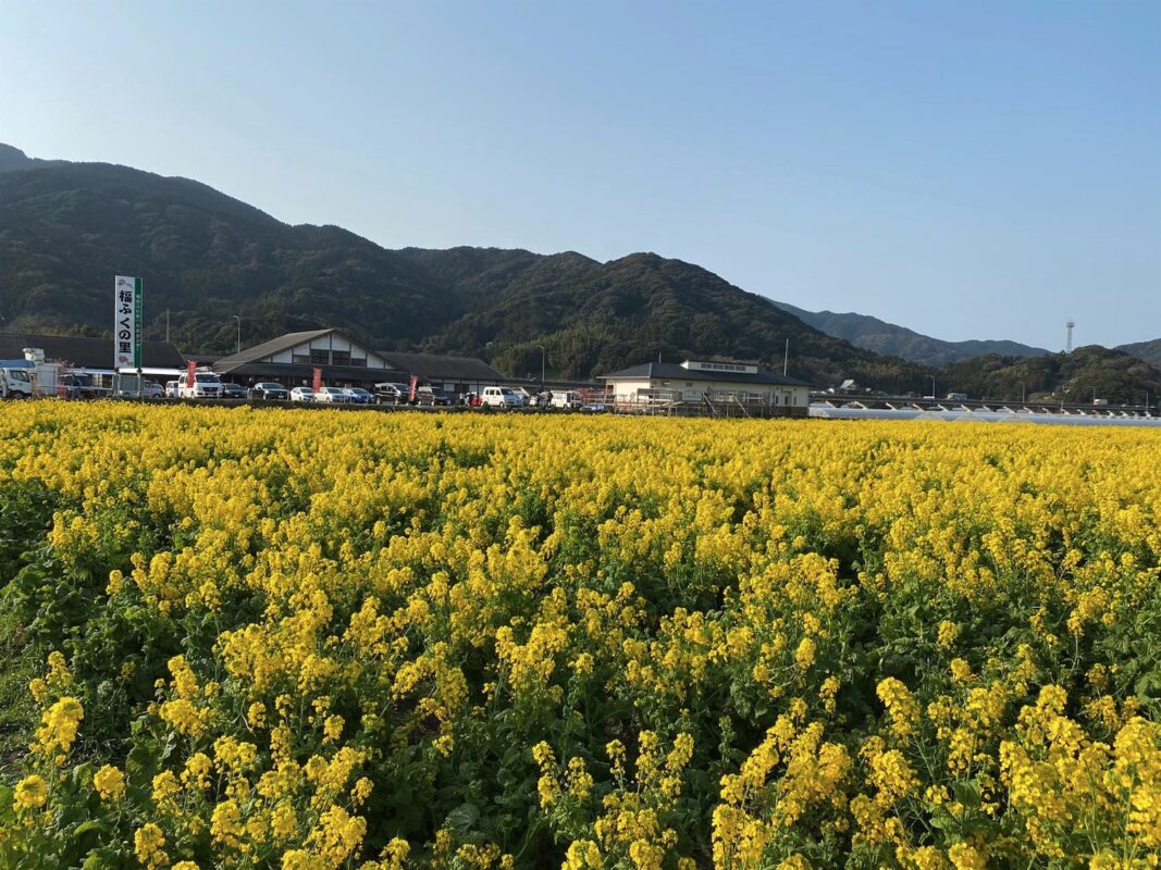 【福岡県糸島市】福ふくの里：二丈福吉の直売所・産直所