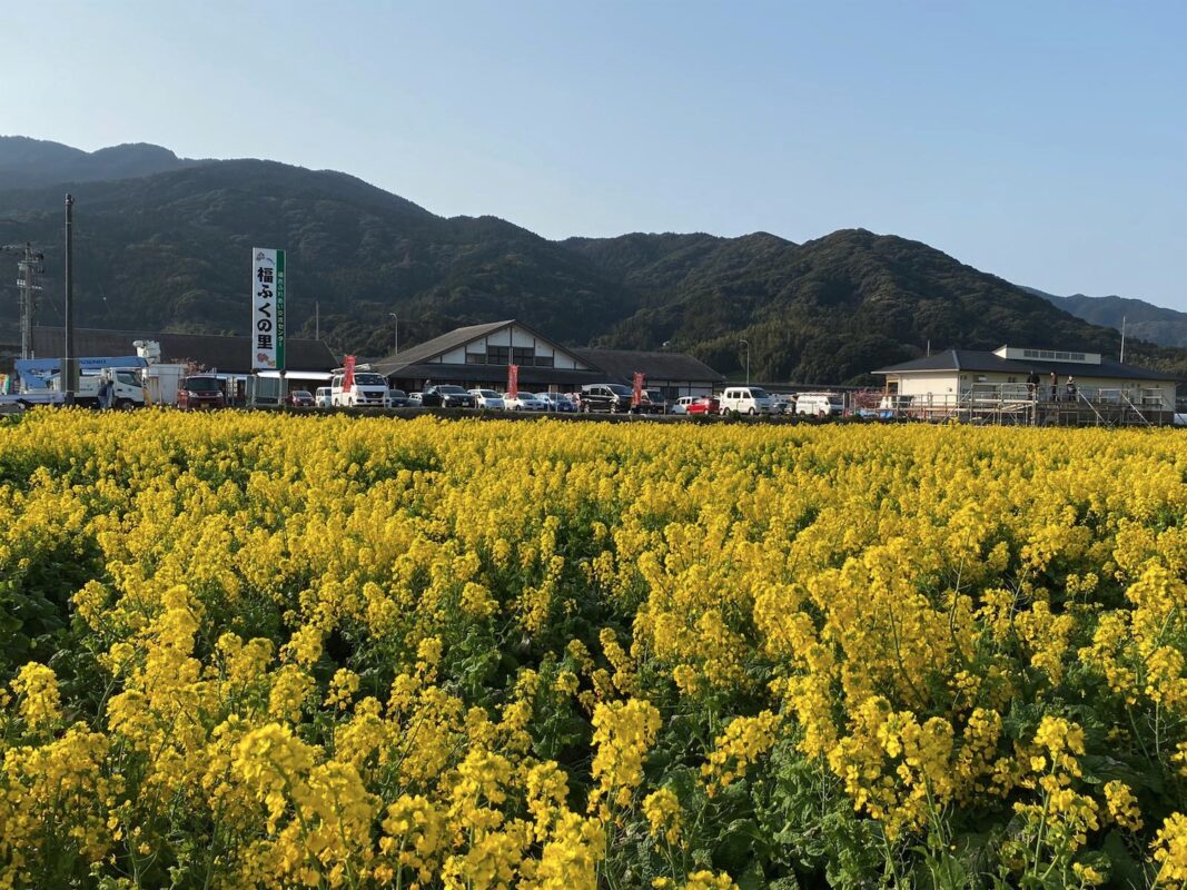 【福岡県糸島市】福ふくの里：二丈福吉の直売所・産直所