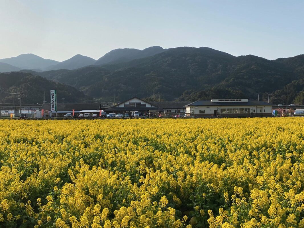 【福岡県糸島市】福ふくの里：二丈福吉の直売所・産直所