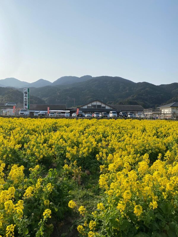 【福岡県糸島市】福ふくの里：二丈福吉の直売所・産直所