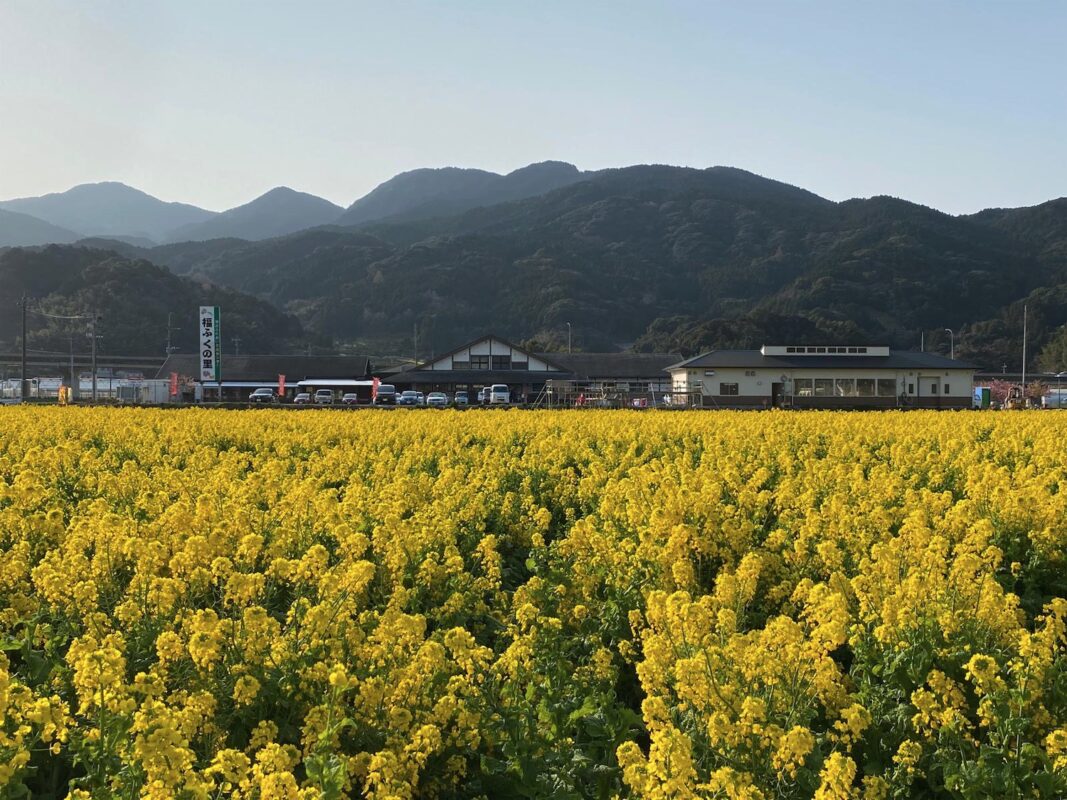 【福岡県糸島市】福ふくの里：二丈福吉の直売所・産直所