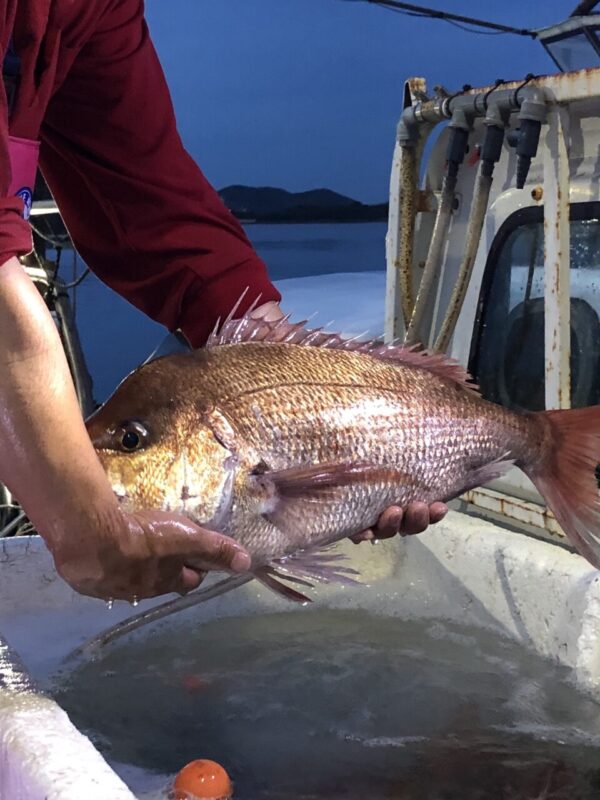 【福岡県糸島市】福ふくの里：二丈福吉の直売所・産直所