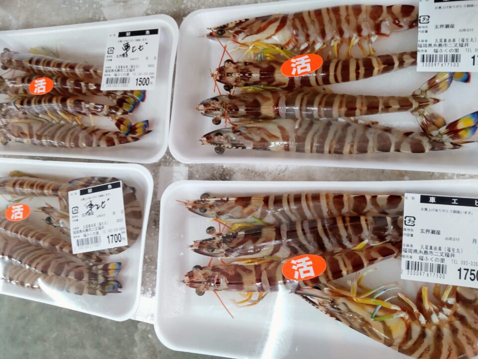 【福岡県糸島市】福ふくの里：二丈福吉の直売所・産直所