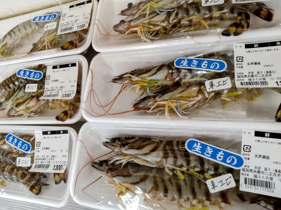 【福岡県糸島市】福ふくの里：二丈福吉の直売所・産直所
