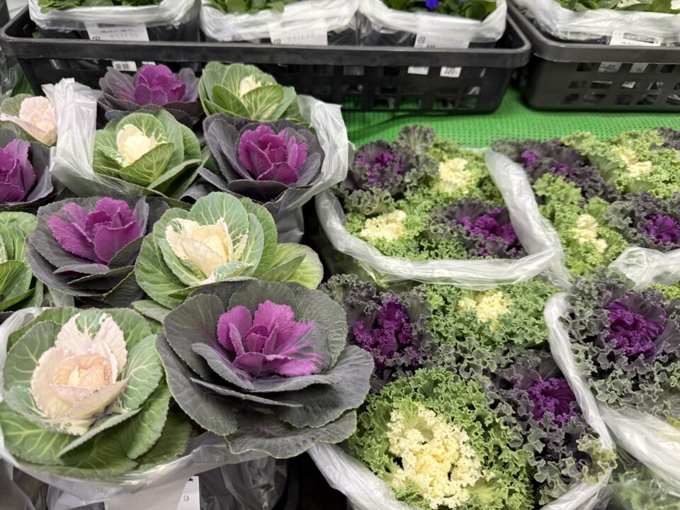 【福岡県糸島市】福ふくの里：二丈福吉の直売所・産直所