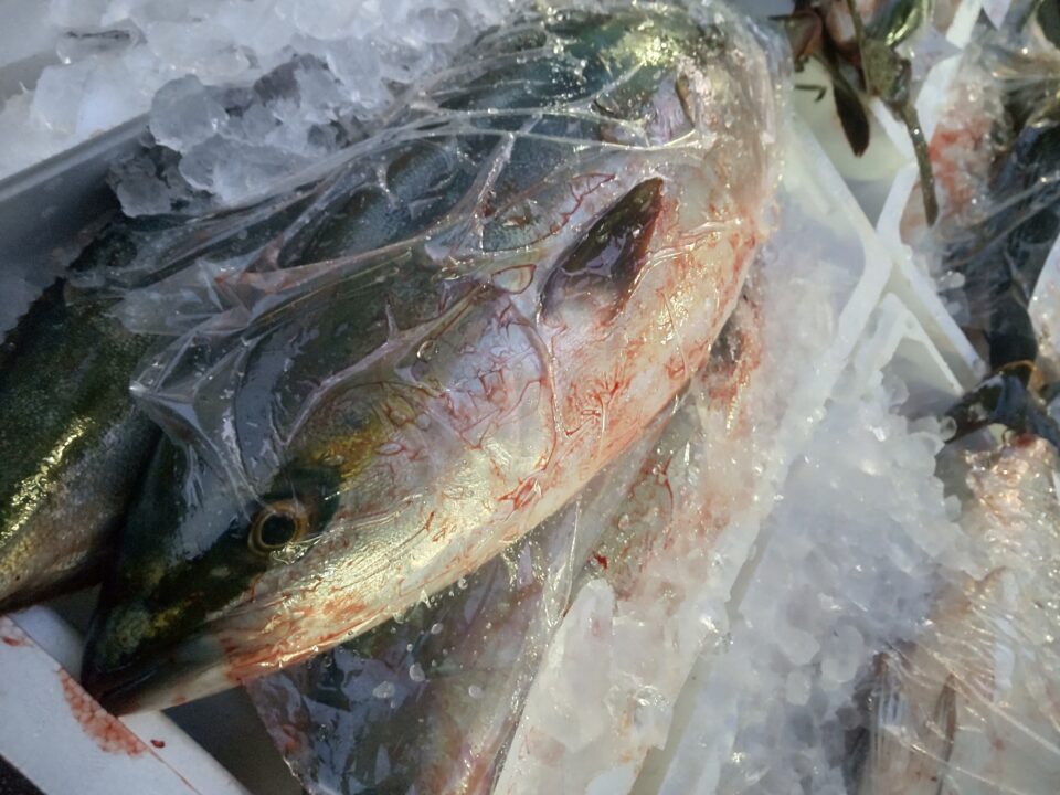 【福岡県糸島市】福ふくの里：二丈福吉の直売所・産直所