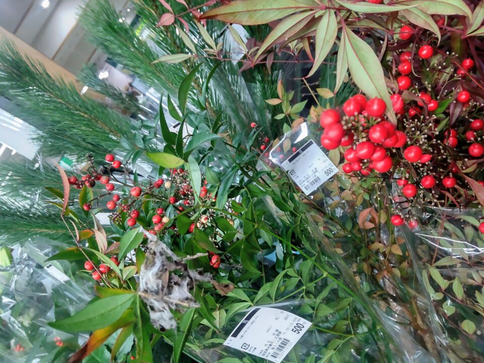 【福岡県糸島市】福ふくの里：二丈福吉の直売所・産直所