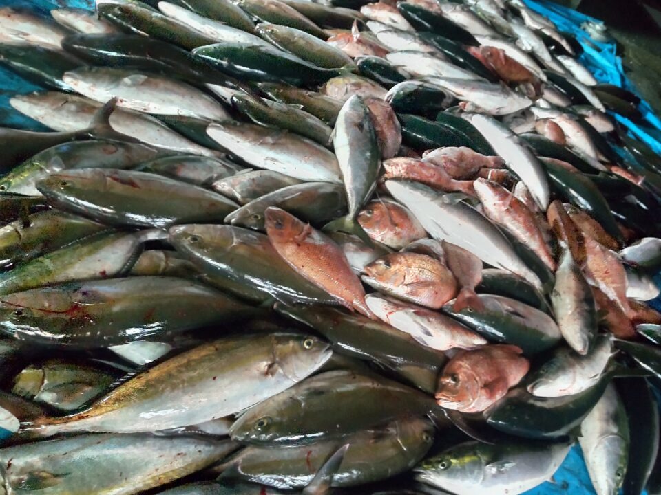 【福岡県糸島市】福ふくの里：二丈福吉の直売所・産直所