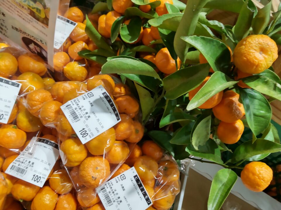 【福岡県糸島市】福ふくの里：二丈福吉の直売所・産直所