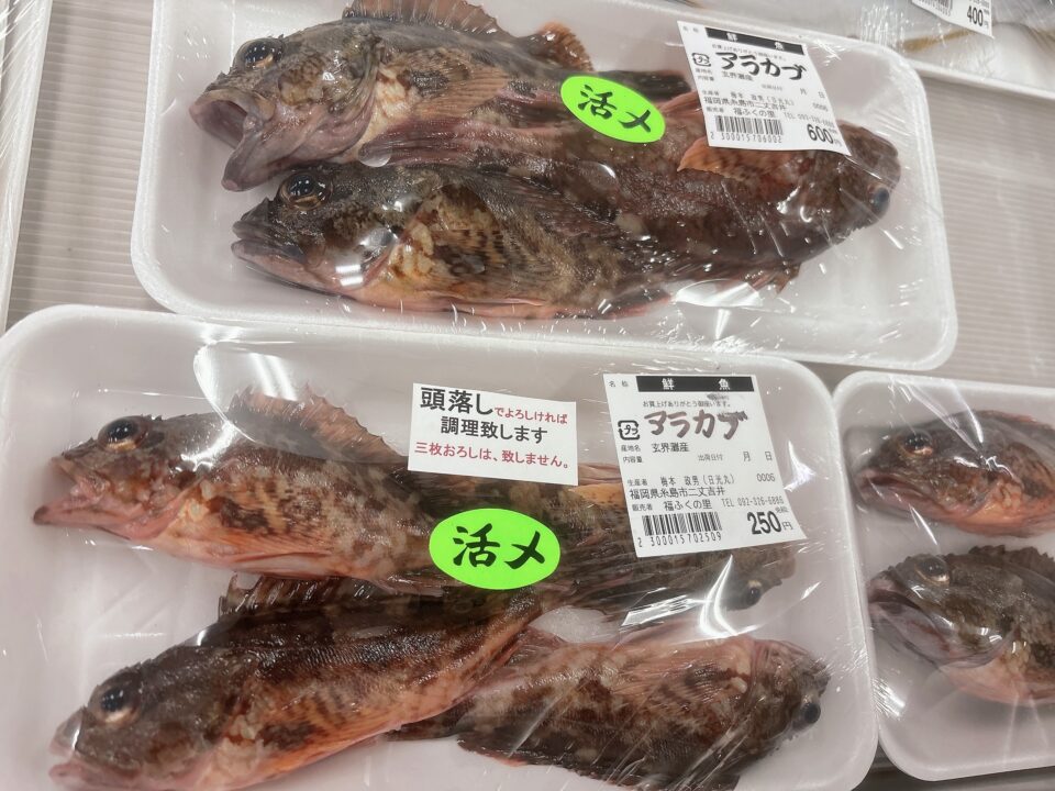 【福岡県糸島市】福ふくの里：二丈福吉の直売所・産直所