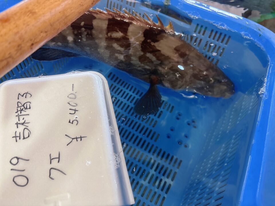 【福岡県糸島市】福ふくの里：二丈福吉の直売所・産直所