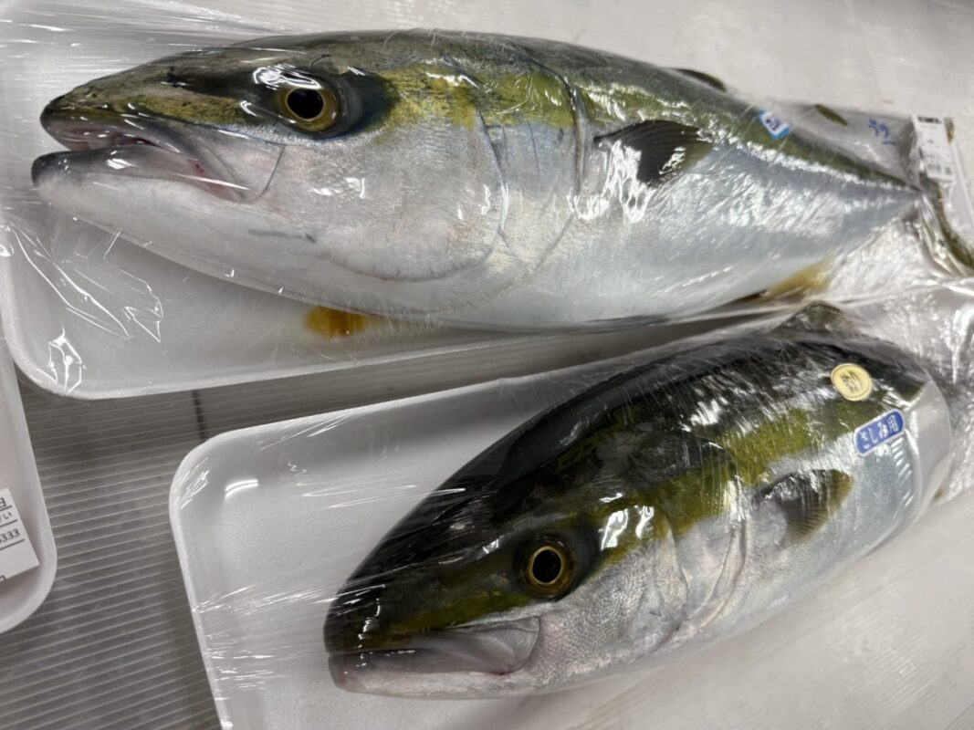 【福岡県糸島市】福ふくの里：二丈福吉の直売所・産直所