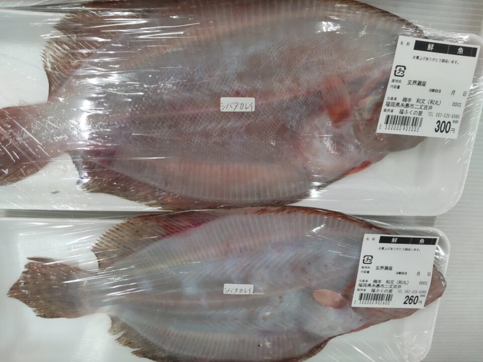 【福岡県糸島市】福ふくの里：二丈福吉の直売所・産直所