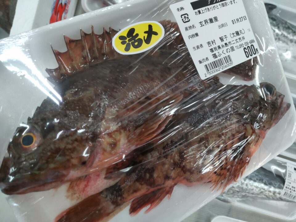 【福岡県糸島市】福ふくの里：二丈福吉の直売所・産直所