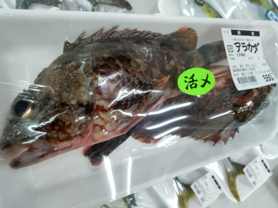【福岡県糸島市】福ふくの里：二丈福吉の直売所・産直所