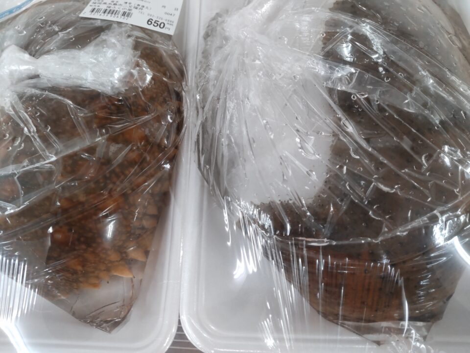 【福岡県糸島市】福ふくの里：二丈福吉の直売所・産直所