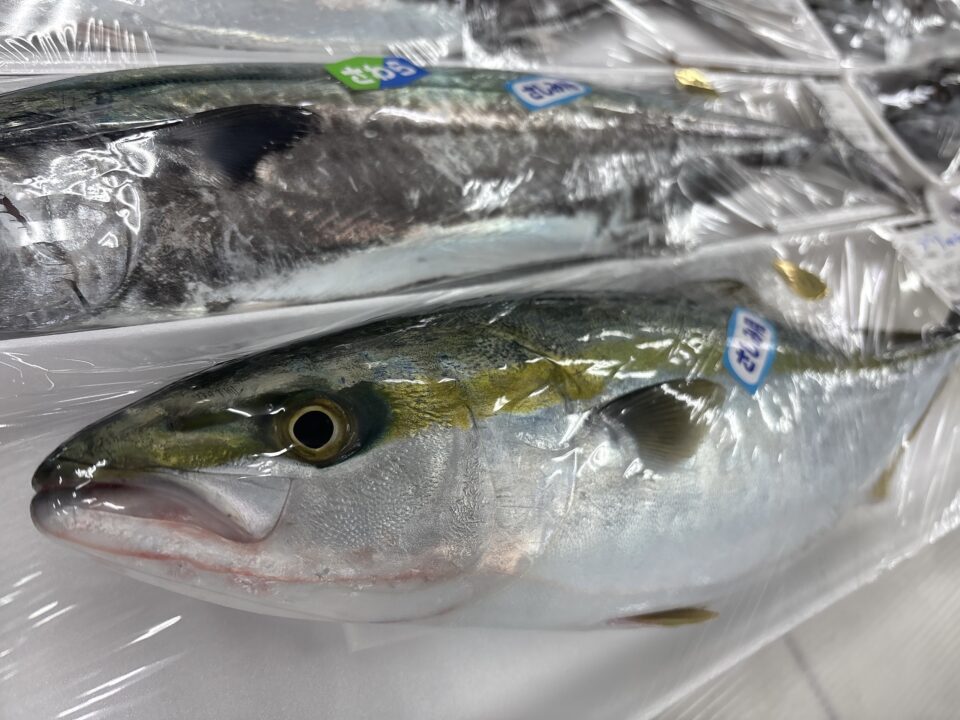 【福岡県糸島市】福ふくの里：二丈福吉の直売所・産直所