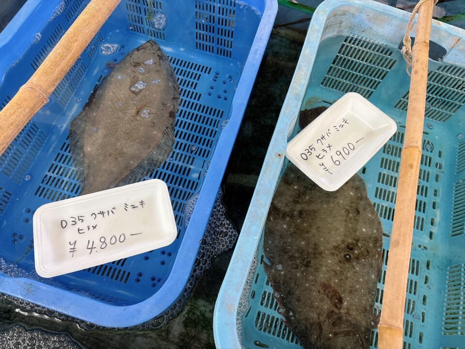 【福岡県糸島市】福ふくの里：二丈福吉の直売所・産直所