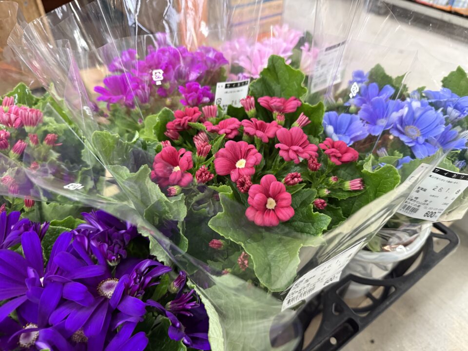 【福岡県糸島市】福ふくの里：二丈福吉の直売所・産直所