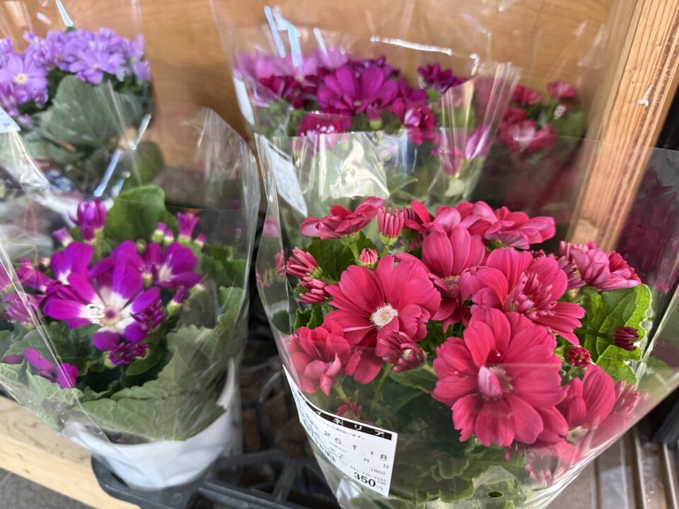 【福岡県糸島市】福ふくの里：二丈福吉の直売所・産直所