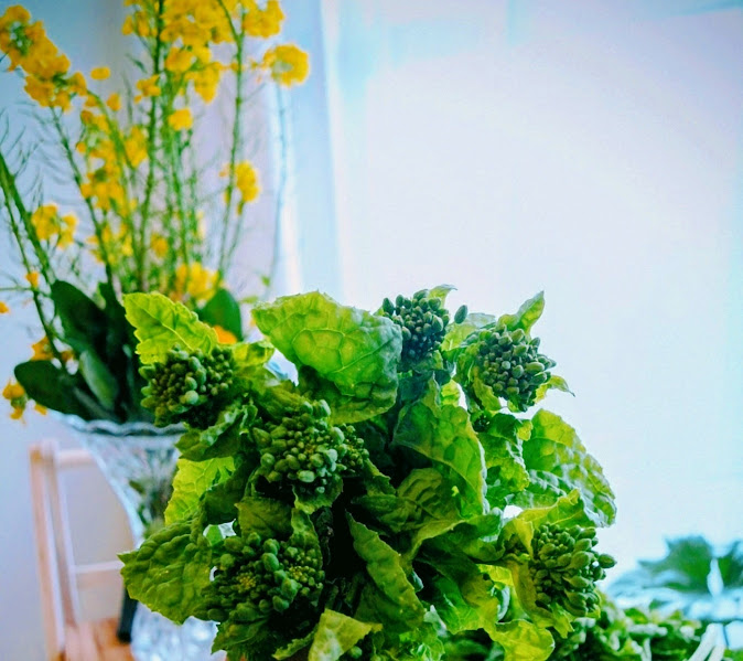 【福岡県糸島市】福ふくの里：二丈福吉の直売所・産直所